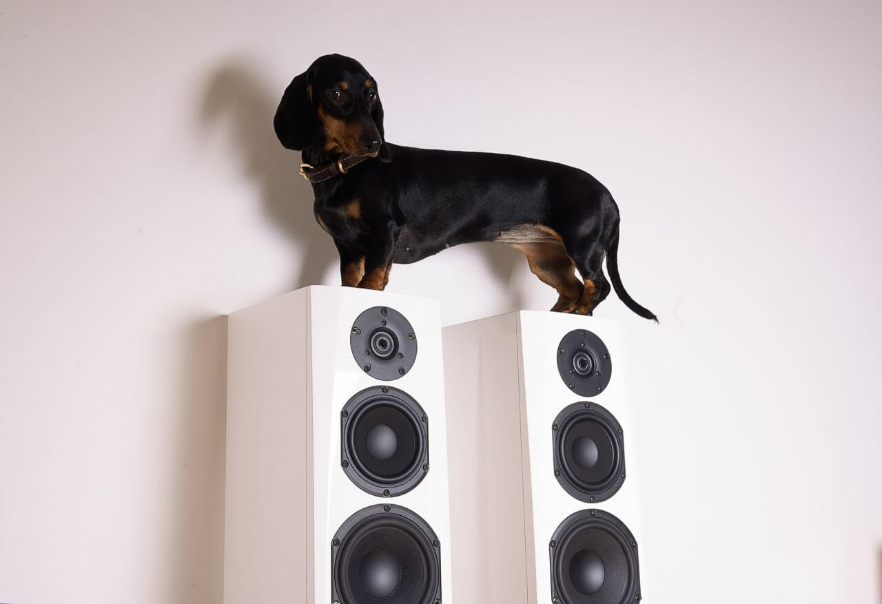 speaker dog - スピーカーの壁からの距離やセッティングについて